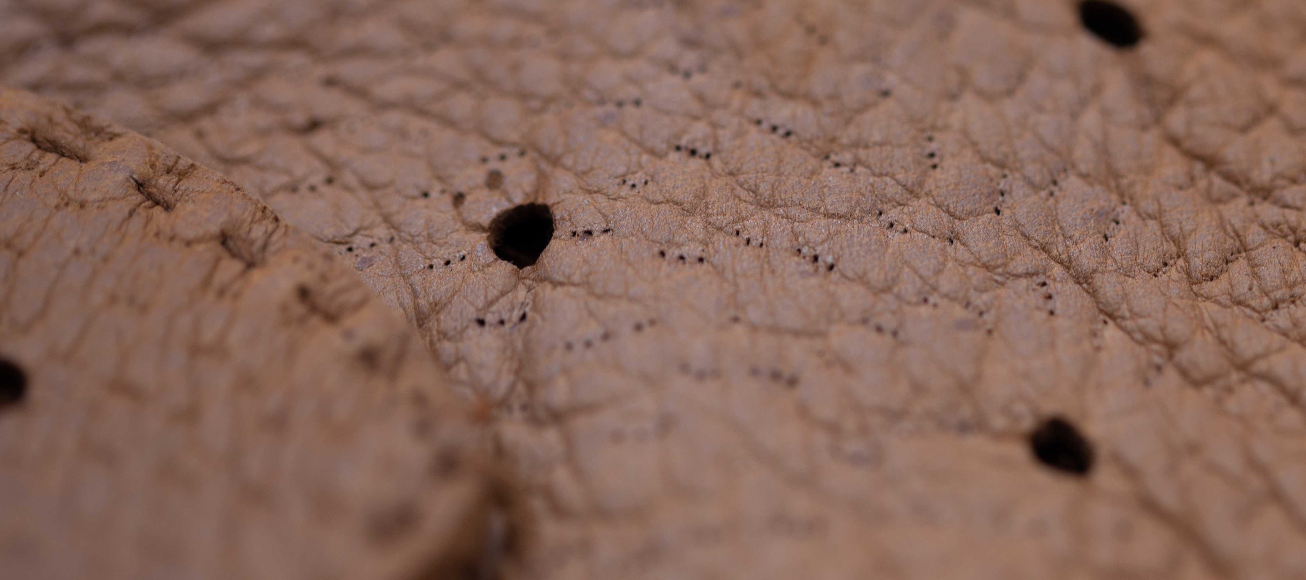 Lederhandschuhe richtig pflegen